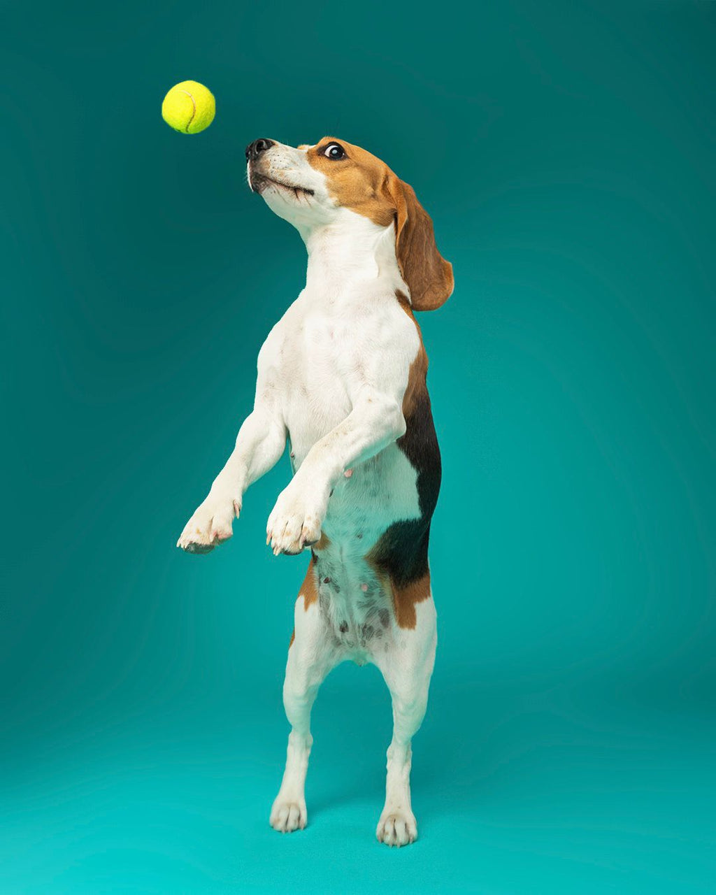 Shooting con file digitali