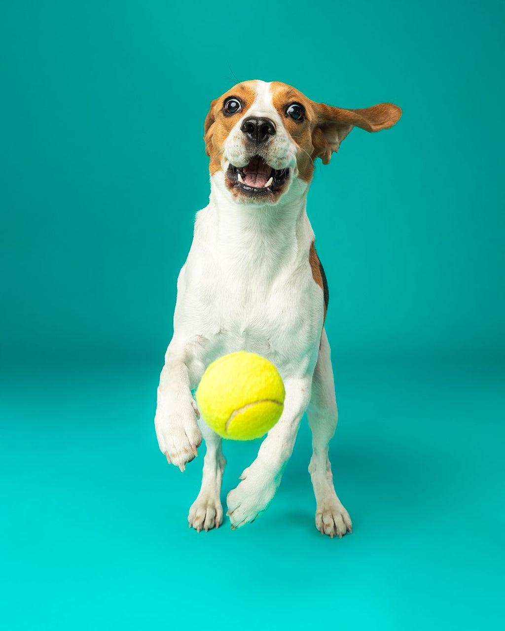 Shooting con file digitali